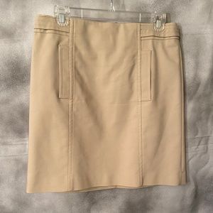 Let this mini take you 2 the max! Ann Taylor skirt